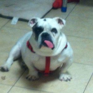 Meet your Posher, Koné